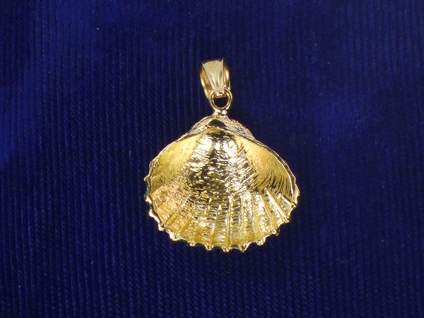 Solid 14k Yellow Gold Shell Pendant, Seashell Charm
