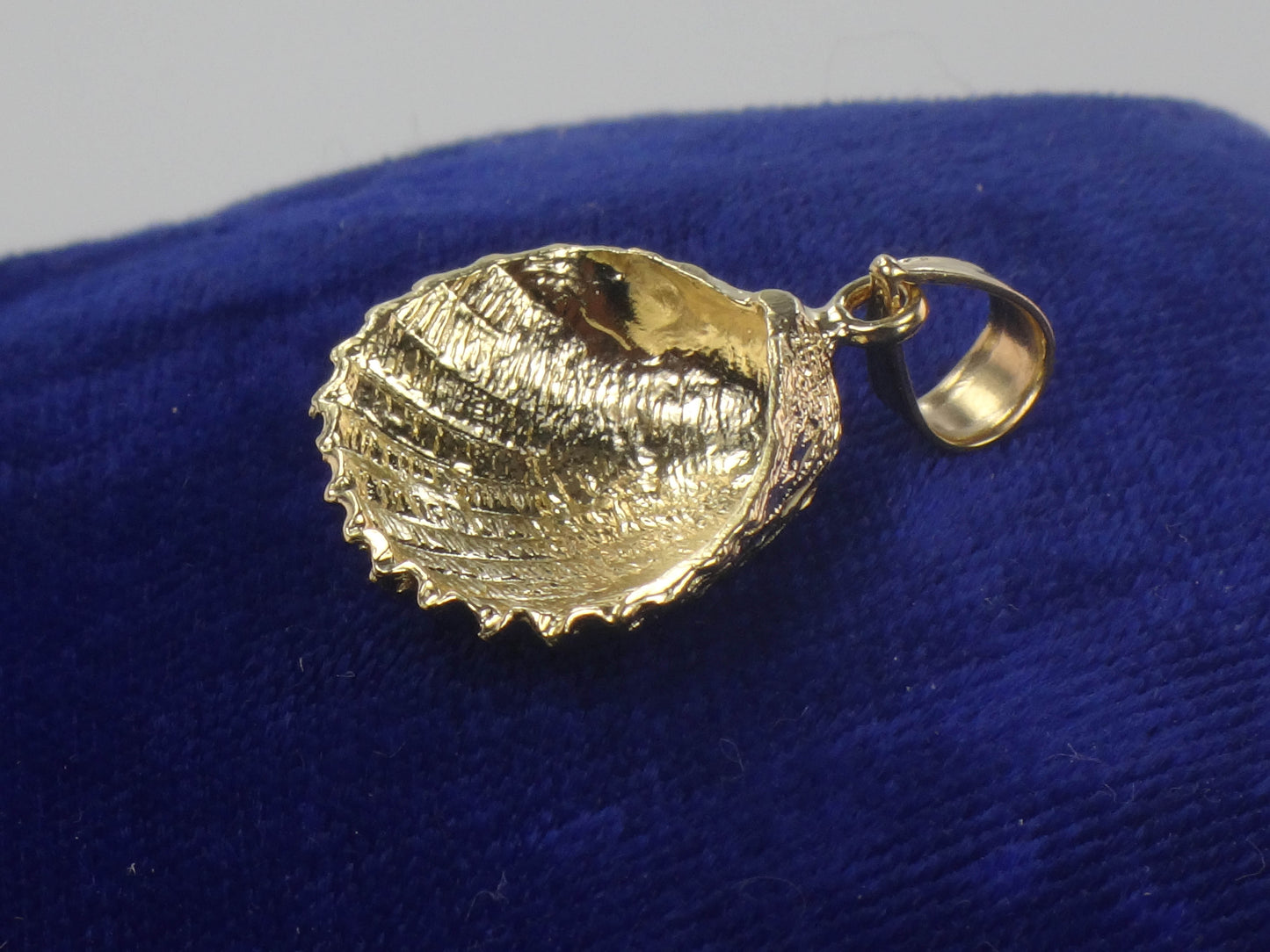 Solid 14k Yellow Gold Shell Pendant, Seashell Charm