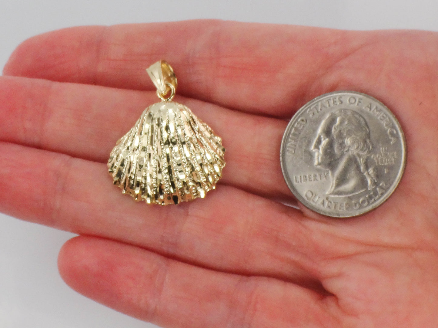 Solid 14k Yellow Gold Shell Pendant, Seashell Charm