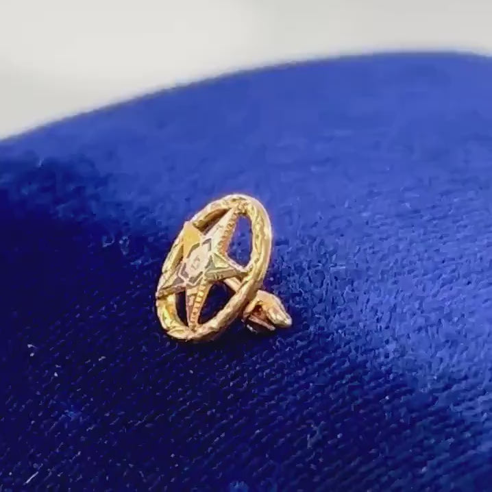 Vintage Masonic Pin, 14k Gold Eastern Star Pin, Tiny Gold Enamel Masonic Order of the Eastern Star Fraternal Pin